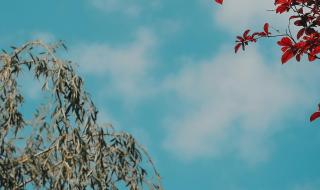 图片2024手机壁纸 图片2024手机壁纸