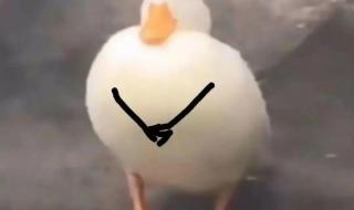 一生中最爱谐音