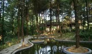 玉峰山森林公园 玉峰山森林公园