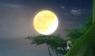 一轮明月寄相思 一轮明月寄相思