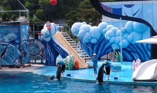 深圳小梅沙好玩吗 深圳小梅沙好玩吗