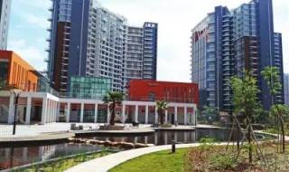 深圳市坪山新区