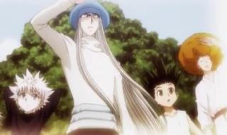 全职猎人蚂蚁篇结局