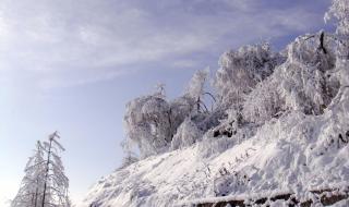 西岭雪山旅游 西岭雪山旅游